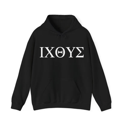 ICHTHYS Hooded Gildan Sweatshirt