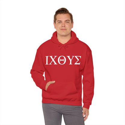 ICHTHYS Hooded Gildan Sweatshirt