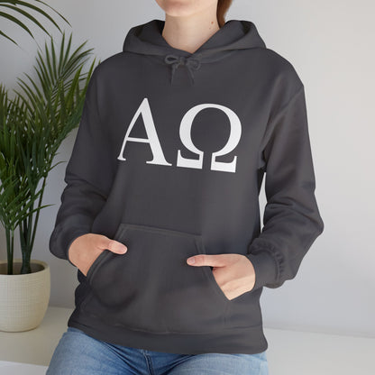 Alpha Omega Letters Hoodie