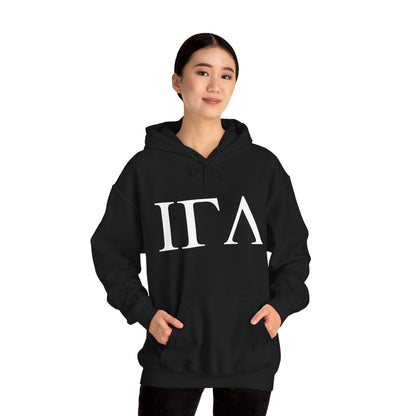 Jesus Greek Life Letters Hoodie