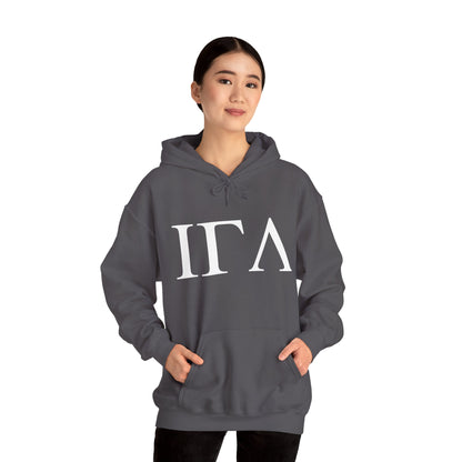 Jesus Greek Life Letters Hoodie